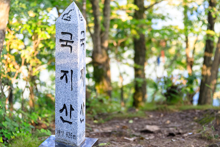 국지산