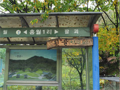 뒷골(국지산 입구)