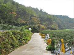 등산로